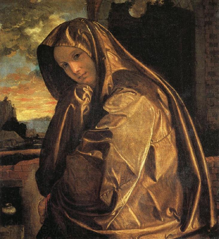 Giovanni Gerolamo Savoldo Mary Magdalen Spain oil painting art
